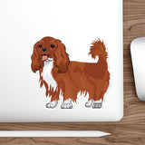 Ruby Cavalier King Charles Spaniel Die-Cut Stickers, 5 Sizes, Water Resistant Vinyl, Indoor/Outdoor, Matte Finish, FREE Shipping, Made in USA!!