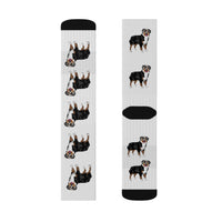 Australian Shepherd Sublimation Socks, 3 Sizes, 60% Polyester, Ribbed Tube, Cushioned Bottoms, FREE Shipping, Made in USA!!