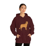 Chesapeake Bay Retriever Unisex Heavy Blend Hooded Sweatshirt, S - 5XL, 12 Colors, Cotton/Polyester, FREE Shipping, Made in Usa!!