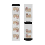 Havanese Sublimation Socks