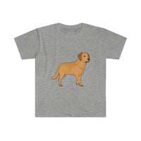 Chesapeake Bay Retriever Unisex Softstyle T-Shirt, S - 3XL, 8 Colors, Ring Spun Cotton, Light Fabric, FREE Shipping, Made in USA!!