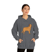 Chesapeake Bay Retriever Unisex Heavy Blend Hooded Sweatshirt, S - 5XL, 12 Colors, Cotton/Polyester, FREE Shipping, Made in Usa!!