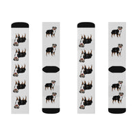 Australian Shepherd Sublimation Socks, 3 Sizes, 60% Polyester, Ribbed Tube, Cushioned Bottoms, FREE Shipping, Made in USA!!