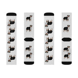 Australian Shepherd Sublimation Socks, 3 Sizes, 60% Polyester, Ribbed Tube, Cushioned Bottoms, FREE Shipping, Made in USA!!