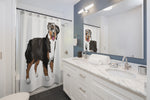 Australian Shepherd Shower Curtains