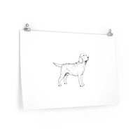 Labrador Retriever Premium Matte horizontal posters