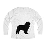 Newfoundland Women's Long Sleeve Performance V-neck Tee