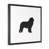 Newfoundland Square Framed Premium Gallery Wrap Canvas