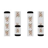 French Bulldog Sublimation Socks