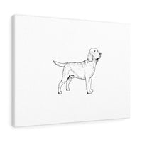 Labrador Retriever Canvas Gallery Wraps