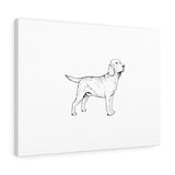 Labrador Retriever Canvas Gallery Wraps