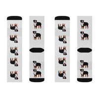 Bernese Mountain Dog Sublimation Socks