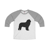 Newfoundland Unisex Tri-Blend 3/4 Raglan Tee