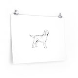 Labrador Retriever Premium Matte horizontal posters