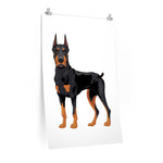 Doberman Pinscher Premium Matte vertical posters