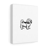 Shih Tzu Canvas Gallery Wraps