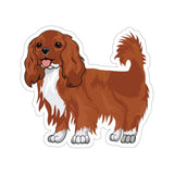 Ruby Cavalier King Charles Spaniel Kiss-Cut Stickers, 4 Sizes, White or Transparent, Indoor Use, Not Waterproof, FREE Shipping, Made in the USA!!