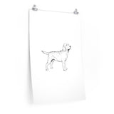 Labrador Retriever Premium Matte vertical posters