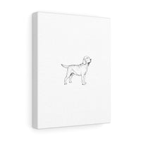 Labrador Retriever Stretched canvas