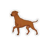 Rhodesian Ridgeback Die-Cut Stickers, 5 Sizes, Matte Finish, Water Resistant Vinyl, Indoor/Outdoor, FREE Shipping, Made in USA!!