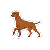 Rhodesian Ridgeback Die-Cut Stickers, 5 Sizes, Matte Finish, Water Resistant Vinyl, Indoor/Outdoor, FREE Shipping, Made in USA!!
