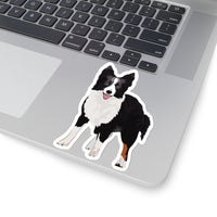 Border Collie Kiss-Cut Stickers, White or Transparent, 4 Sizes, Indoor, Not Waterproof, FREE Shipping, Made in USA!!