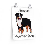 Bernese Mountain Dog Premium Matte vertical posters