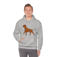Rhodesian Ridgeback Unisex Heavy Blend™ Hooded Sweatshirt, S - 5XL, 12 Colors, Cotton/Polyester, FREE Shipping, Made in USA!!