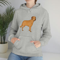 Chesapeake Bay Retriever Unisex Heavy Blend Hooded Sweatshirt, S - 5XL, 12 Colors, Cotton/Polyester, FREE Shipping, Made in Usa!!