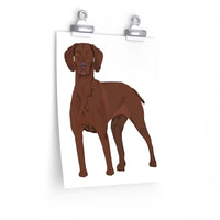 Vizsla Premium Matte vertical posters, 7 Sizes, FREE Shipping, Made in the USA!!