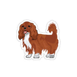 Ruby Cavalier King Charles Spaniel Die-Cut Stickers, 5 Sizes, Water Resistant Vinyl, Indoor/Outdoor, Matte Finish, FREE Shipping, Made in USA!!