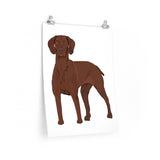 Vizsla Premium Matte vertical posters, 7 Sizes, FREE Shipping, Made in the USA!!