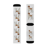 Brittany Dog Sublimation Socks, 3 Sizes, FREE Shipping, Made in USA!!