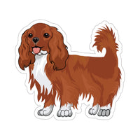 Ruby Cavalier King Charles Spaniel Kiss-Cut Stickers, 4 Sizes, White or Transparent, Indoor Use, Not Waterproof, FREE Shipping, Made in the USA!!