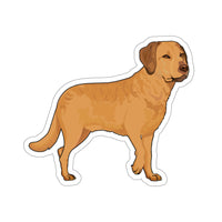 Chesapeake Bay Retriever Kiss-Cut Stickers, 4 Sizes, White or Transparent, Indoor Use, FREE Shipping, Made in USA!!