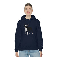 Boston Terrier Unisex Heavy Blend™ Hooded Sweatshirt, S - 5XL, 12 Colors, Cotton/Polyester, FREE Shipping, Made in USA!!
