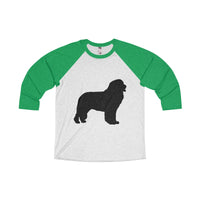 Newfoundland Unisex Tri-Blend 3/4 Raglan Tee