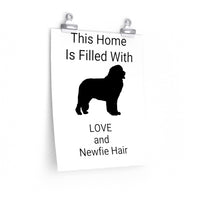 Newfoundland Premium Matte vertical posters, 7 Sizes, Fine Art Paper, Matte Finish, Indoor Use, FREE Shipping, Made in USA!!