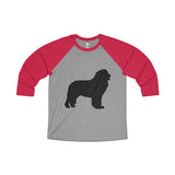 Newfoundland Unisex Tri-Blend 3/4 Raglan Tee