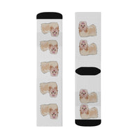 Havanese Sublimation Socks