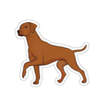 Rhodesian Ridgeback Die-Cut Stickers, 5 Sizes, Matte Finish, Water Resistant Vinyl, Indoor/Outdoor, FREE Shipping, Made in USA!!