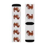 Ruby Cavalier King Charles Spaniel Sublimation Socks, 3 Sizes, Polyester/Spandex, FREE Shipping, Made in USA!!