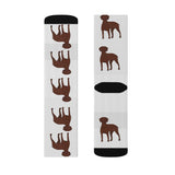 Vizsla Sublimation Socks, Polyester & Spandex, 3 Different Sizes, q