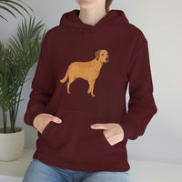 Chesapeake Bay Retriever Unisex Heavy Blend Hooded Sweatshirt, S - 5XL, 12 Colors, Cotton/Polyester, FREE Shipping, Made in Usa!!