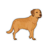 Chesapeake Bay Retriever Kiss-Cut Stickers, 4 Sizes, White or Transparent, Indoor Use, FREE Shipping, Made in USA!!
