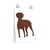 Vizsla Premium Matte vertical posters, 7 Sizes, FREE Shipping, Made in the USA!!