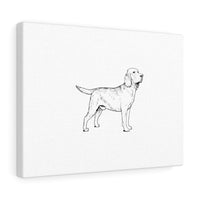 Labrador Retriever Canvas Gallery Wraps