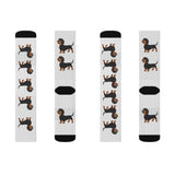 Dachshund Sublimation Socks, 3 Sizes, Polyester/Acrylic/Nylon/Spandex, FREE Shipping, Made in USA!!