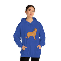 Chesapeake Bay Retriever Unisex Heavy Blend Hooded Sweatshirt, S - 5XL, 12 Colors, Cotton/Polyester, FREE Shipping, Made in Usa!!