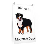 Bernese Mountain Dog Premium Matte vertical posters